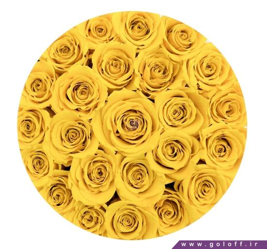 جعبه گل زیبا - جعبه گل ولنتاین یلوئیش - Yellowish | گل آف